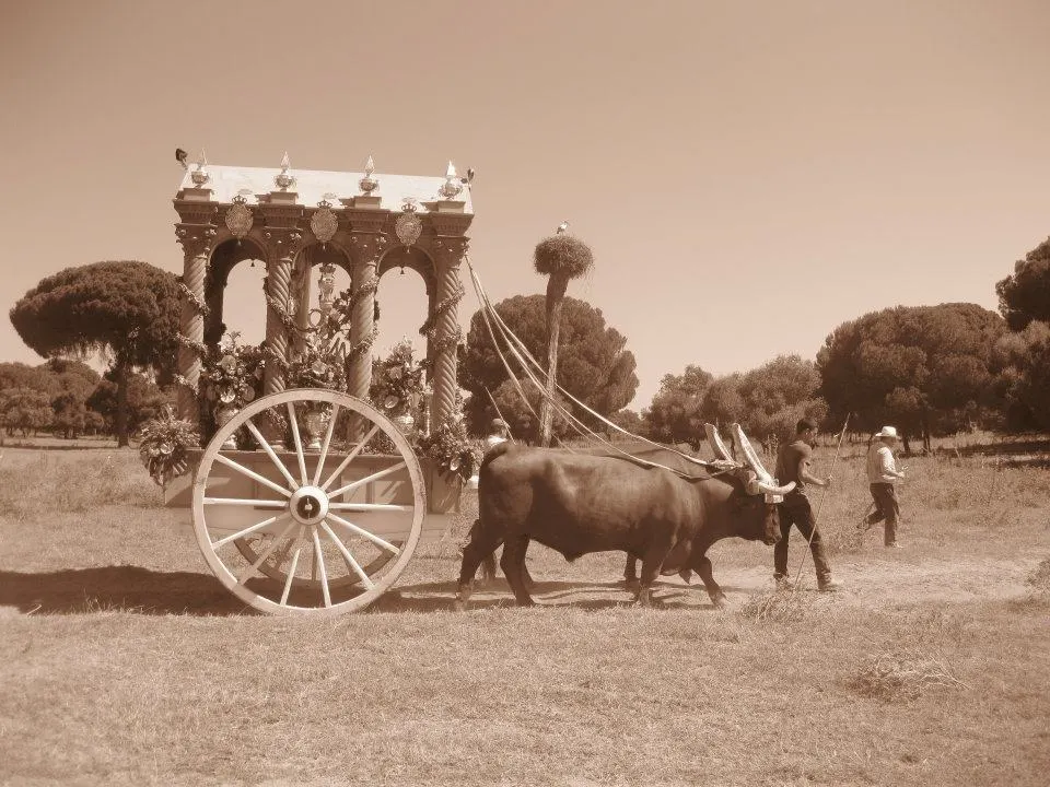 Palomares del Rio-34