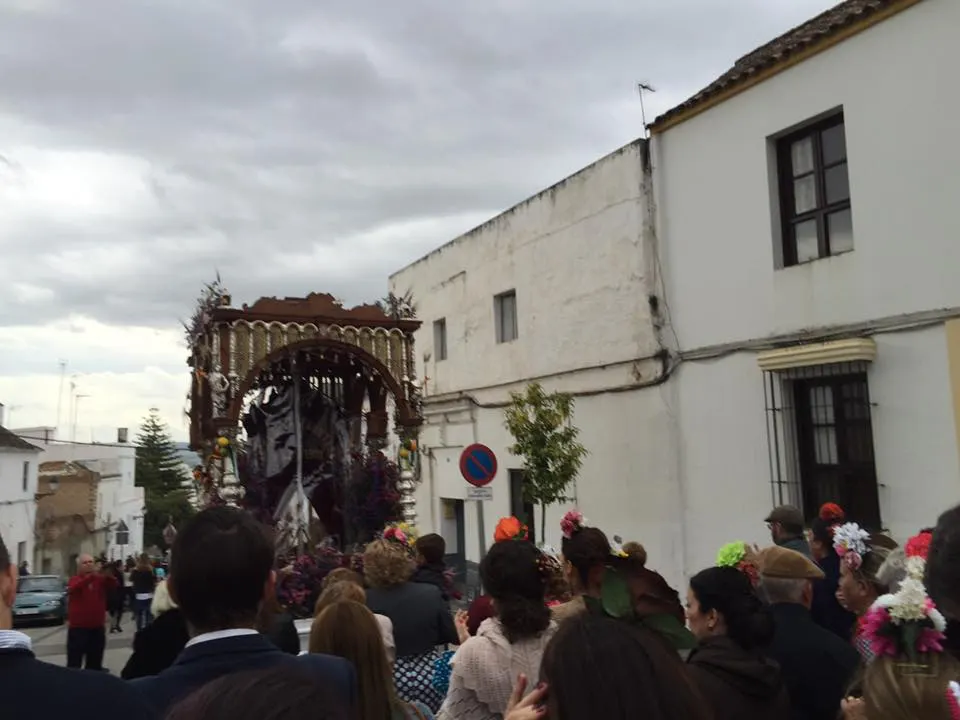 ARCOS AL rocio 2016