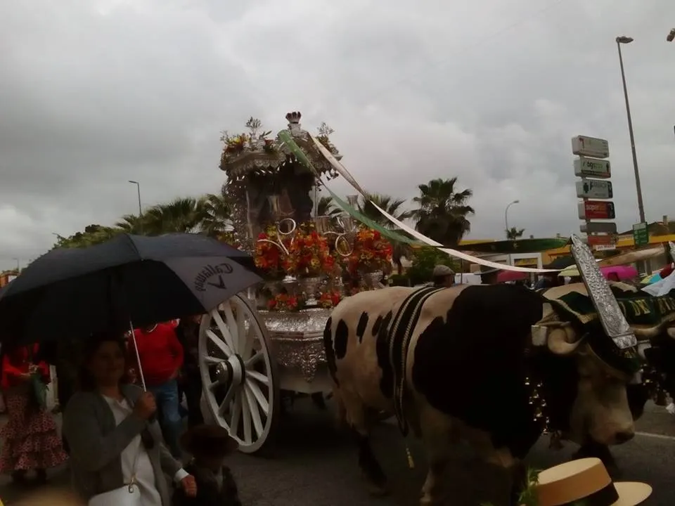 Espartinas al rocio-2016-2