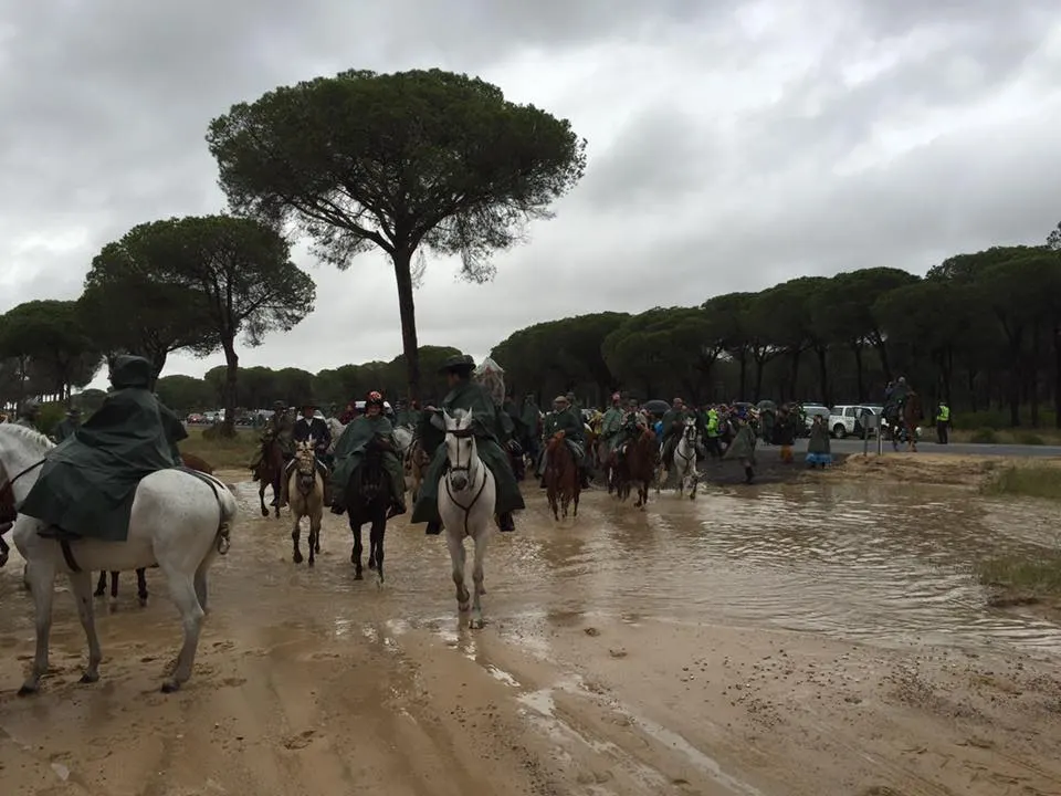 Matriz al rocio 2016-5