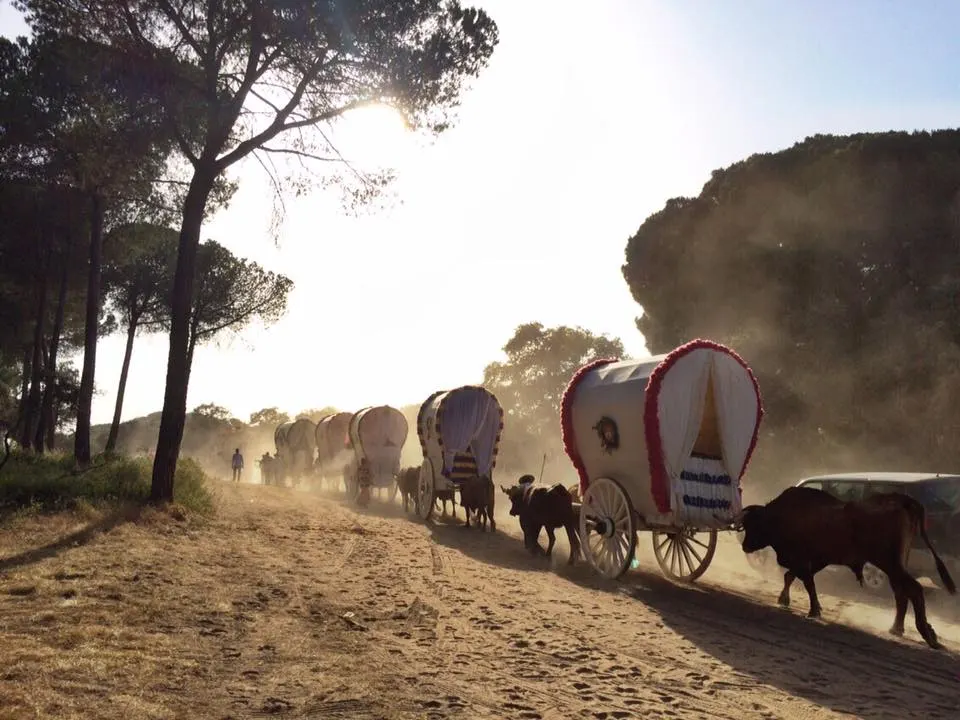 camino-4