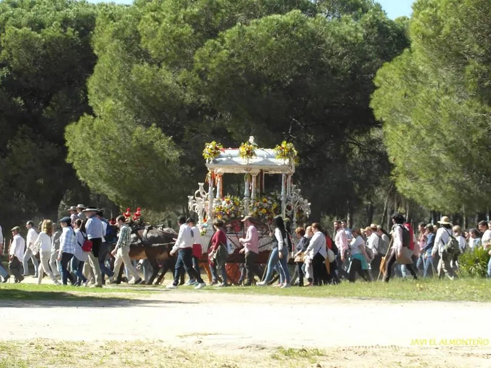 Rociana centenario rocio-14