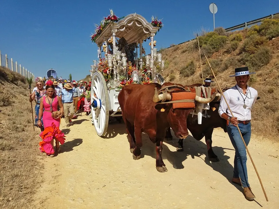 Momentos del Camino al Rocio 2019-Alcala de guadaira