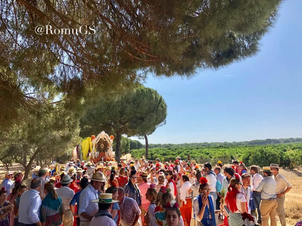 Momentos del Camino al Rocio 2019-Gines