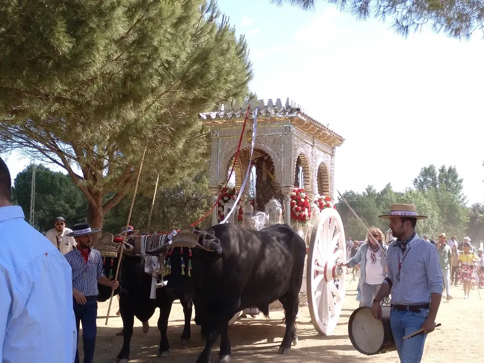 Momentos del Camino al Rocio 2019- Granada