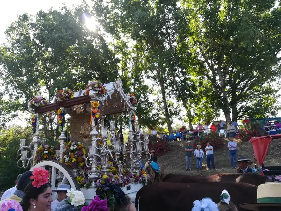 Momentos del Camino al Rocio 2019- Mairena del Aljarafe