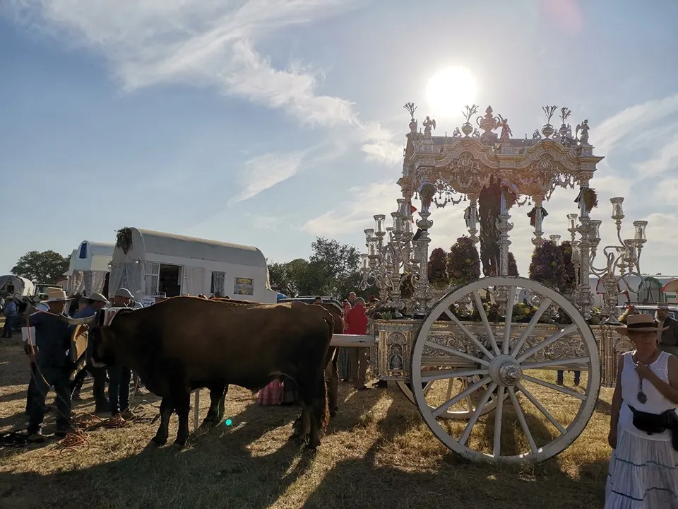 Momentos del Camino al Rocio 2019- Malaga