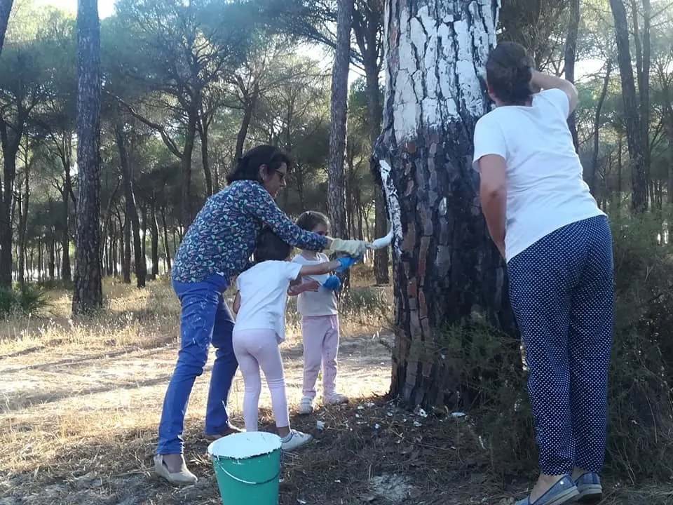 100 dias santiago padilla-6