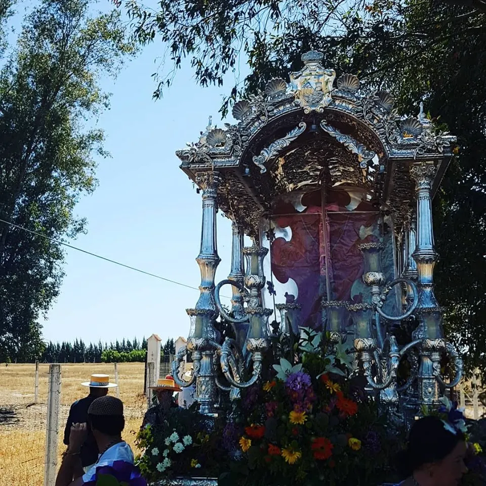 Momentos del Camino al Rocio 2019- Estepona