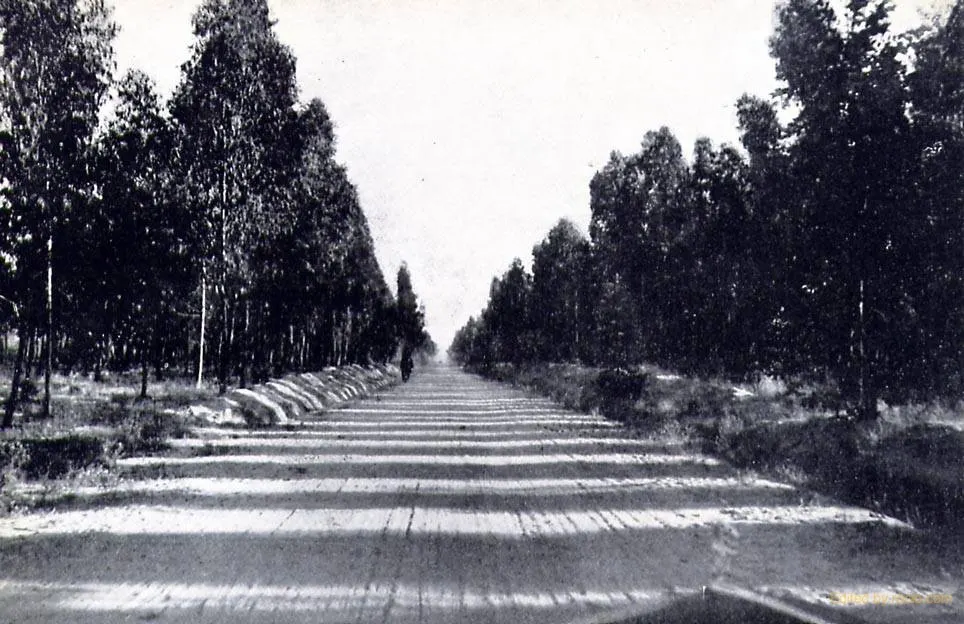 1-rocio.com-antiguo-carretera almonte-rocio-1958-257