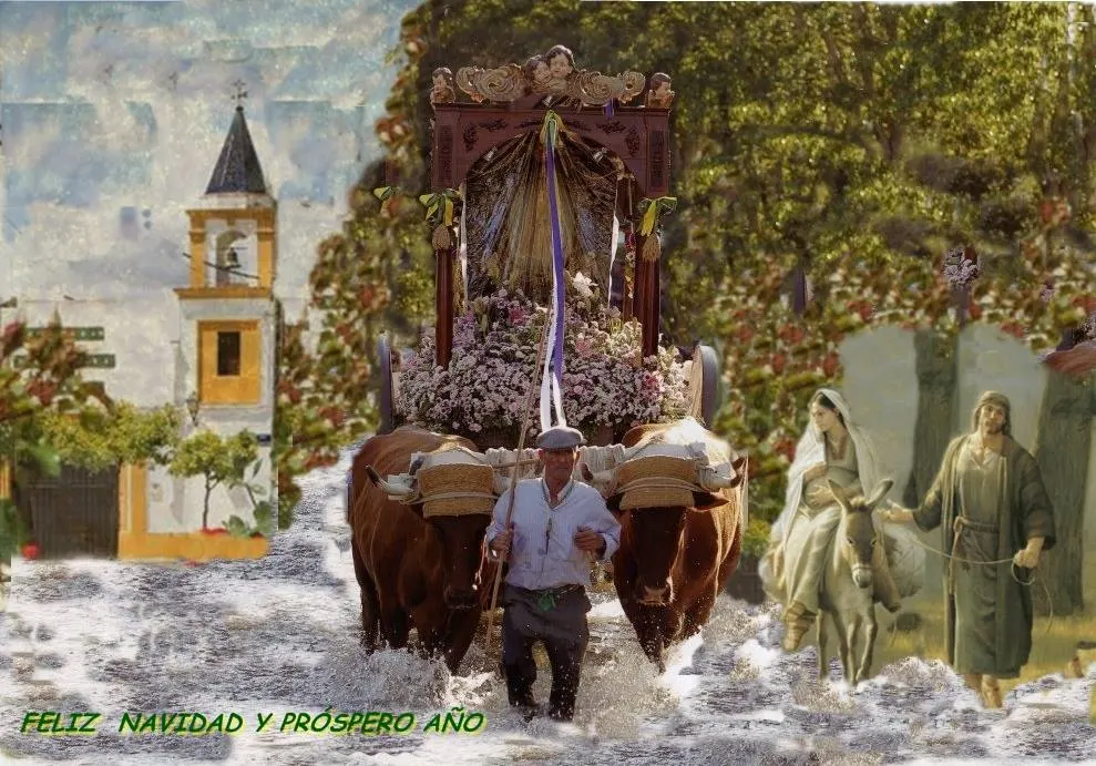 4965-navidad 2013-navidad-86