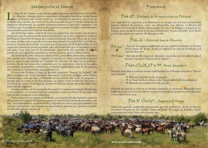 7Folleto La Saca de las Yeguas 2013