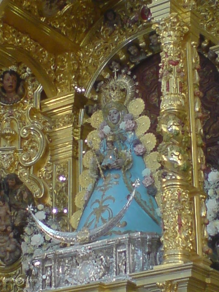 3311 virgen celeste