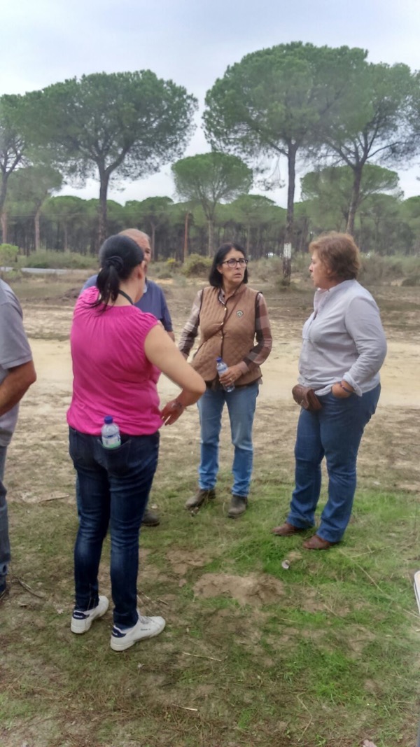 peregrinacion foro 2015 12