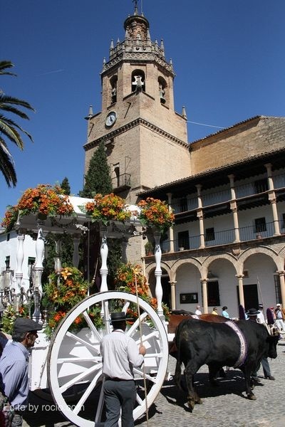 La Hdad. de Ronda inicia su camino hacia la Aldea del Rocío