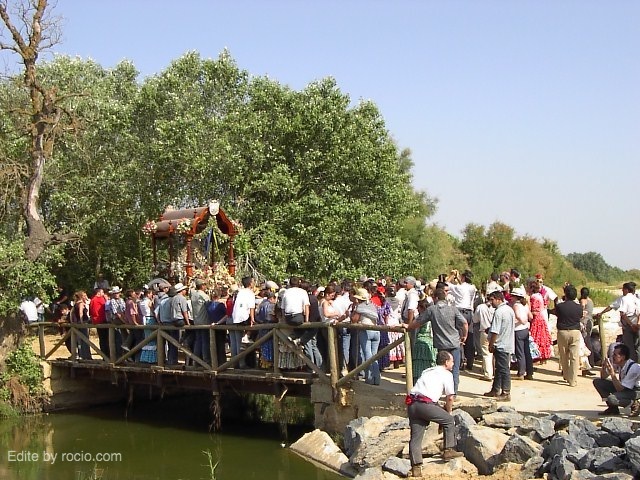 Chucena en el Puente del Ajolí