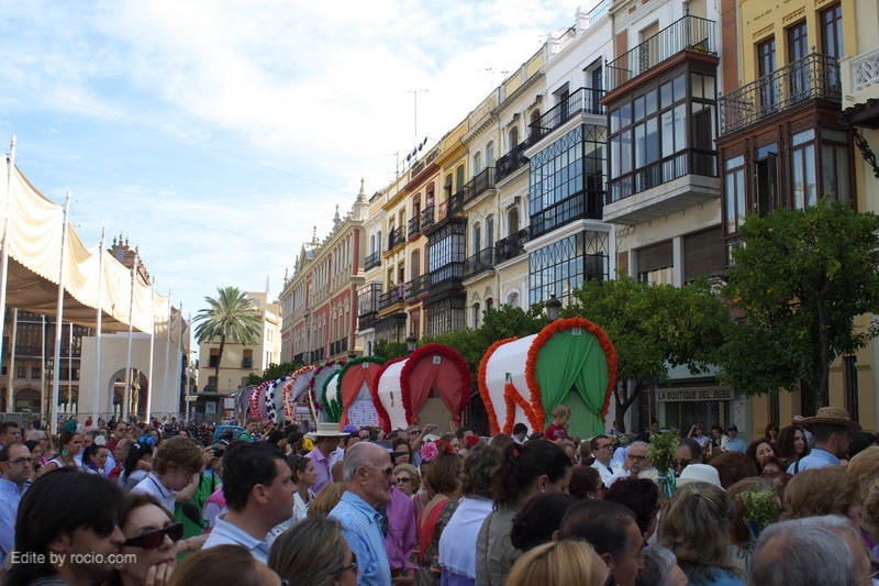 Carretas en la Plaza de San Francisco