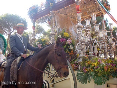 Hdad. de Mairena del Aljarafe