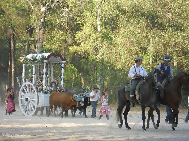 La Hdad. en el camino (Foto de J. Avilés)