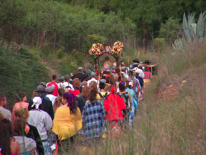 Camino de La Pineda