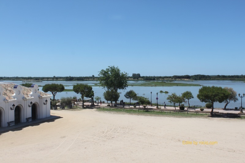 Vista de la marisma desde la sala