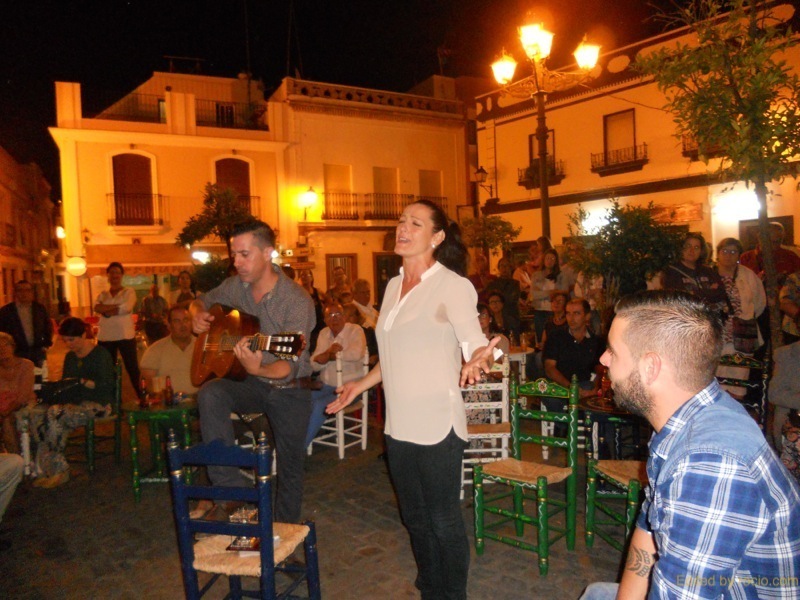 Distintos momentos en los que Mariví interpreta unas sevillanas