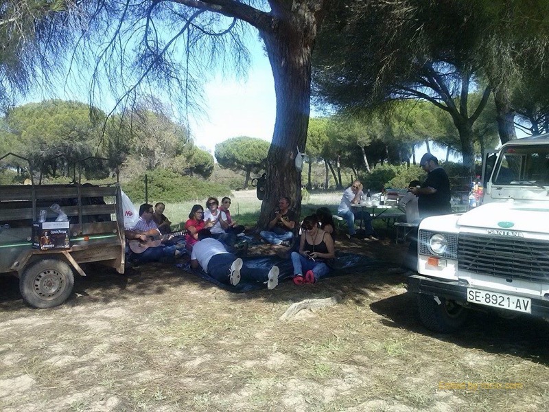 En Parque Nacional De Doñana octubre 2014
