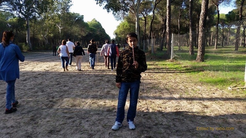 Peregrinación 2014