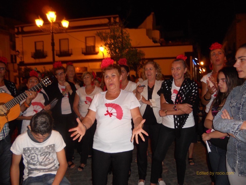 Distintos momentos en los que el Coro del Centro ARATI interpretaron sevillanas y fandangos