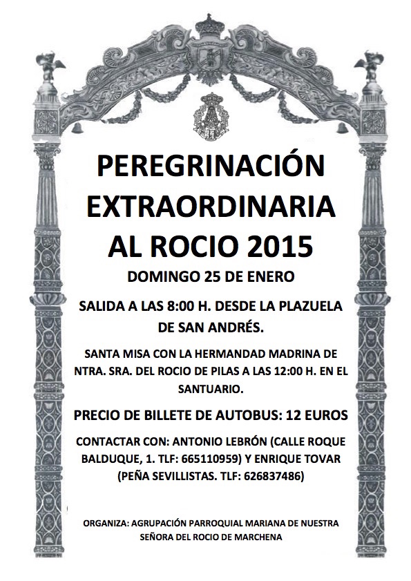 Cartel candelaria 2015