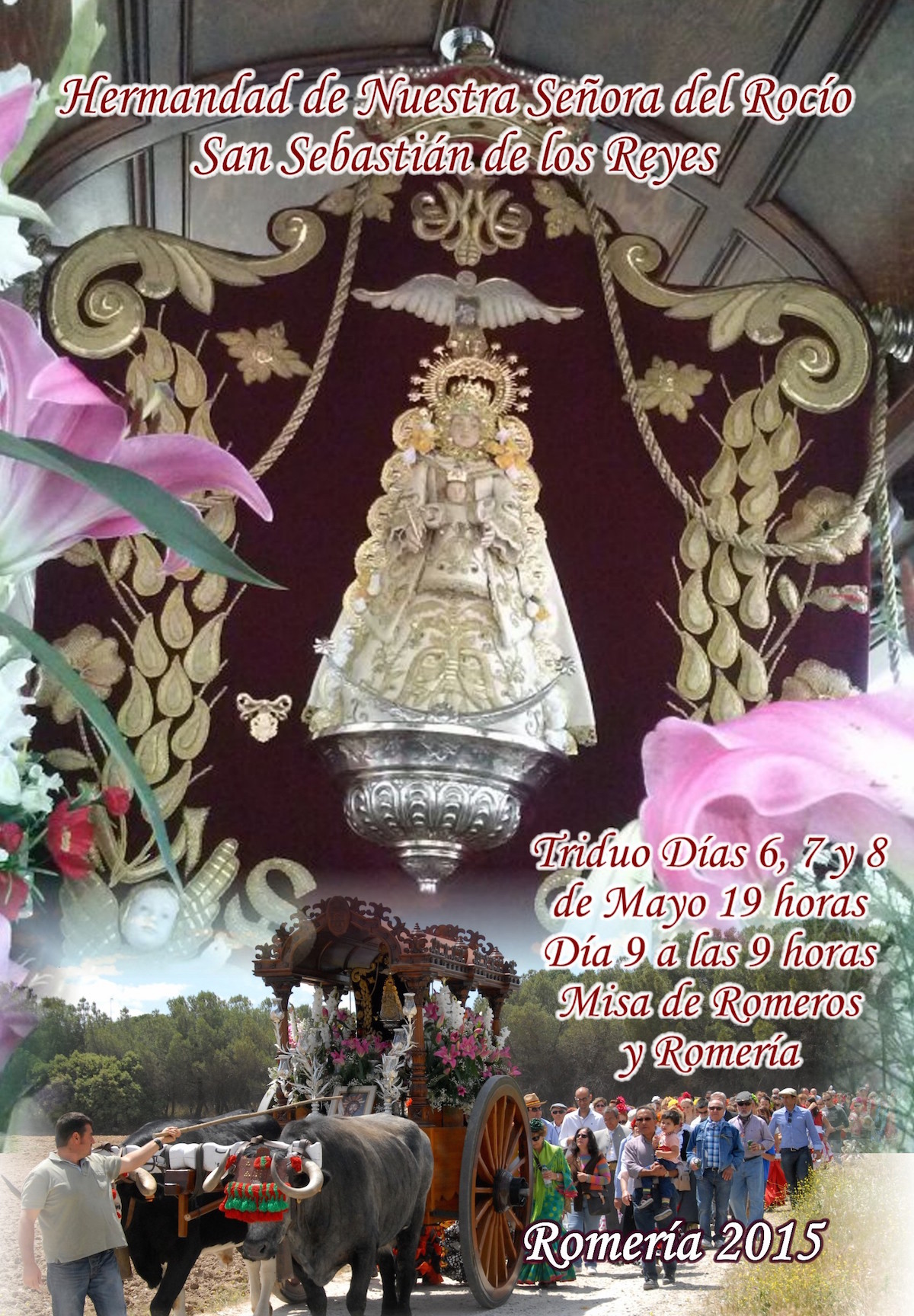 San Sebastian de los Reyes-Cartel 2015