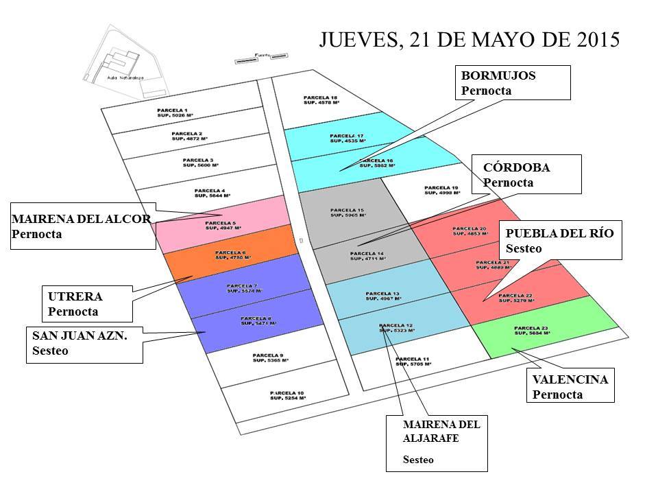 Dehesa boyal Villamanrrique 2015-3