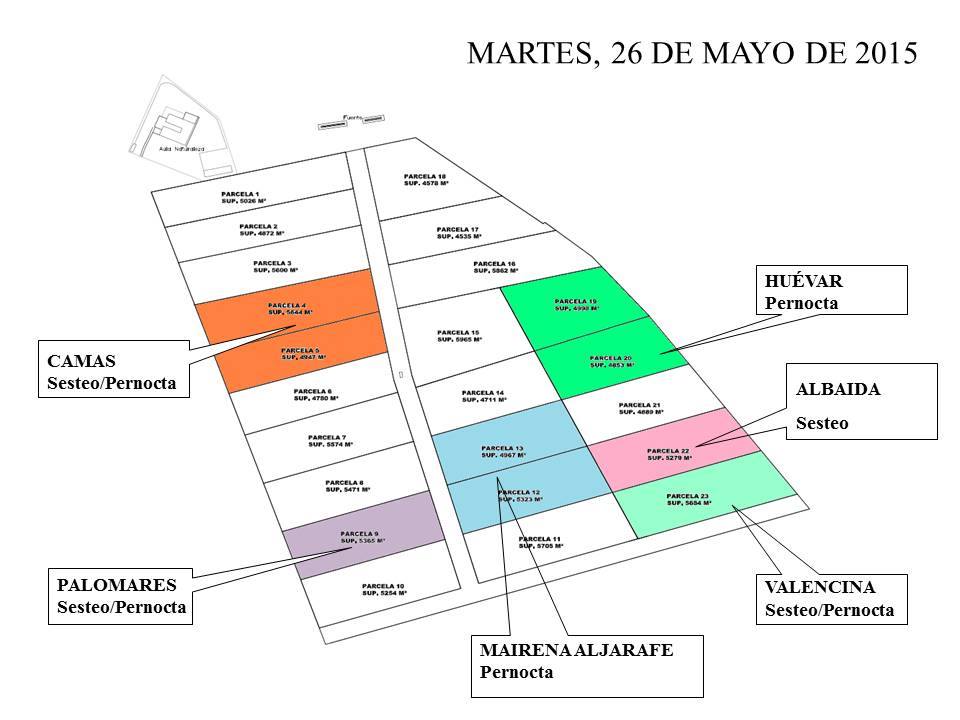 Dehesa boyal Villamanrrique 2015-6