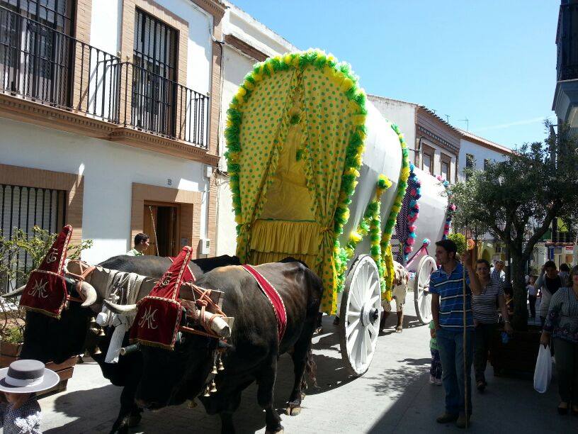 Gines carreta solidaria 2015
