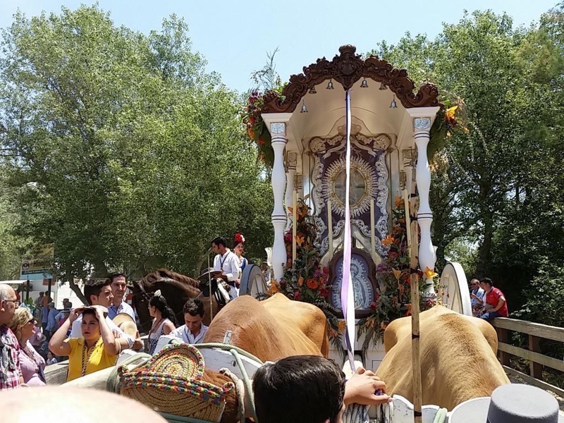 Ronda camino 2015-1