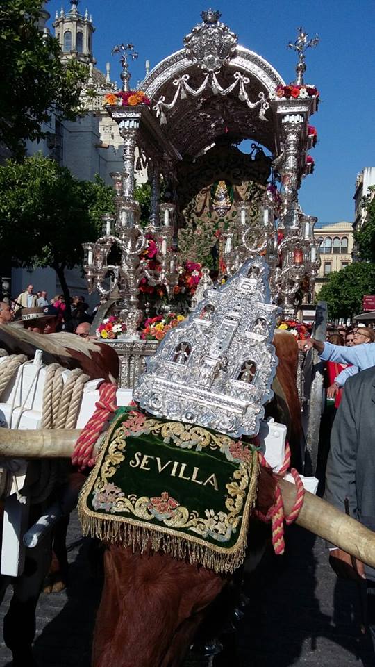 Salida Rocio Sevilla 2015-Bustamante-5