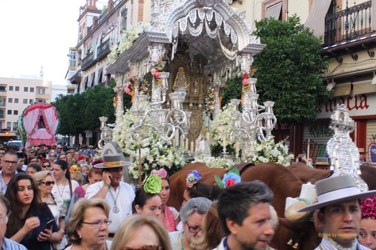 Salida Sevilla-Macarena 2015-IMG_2792