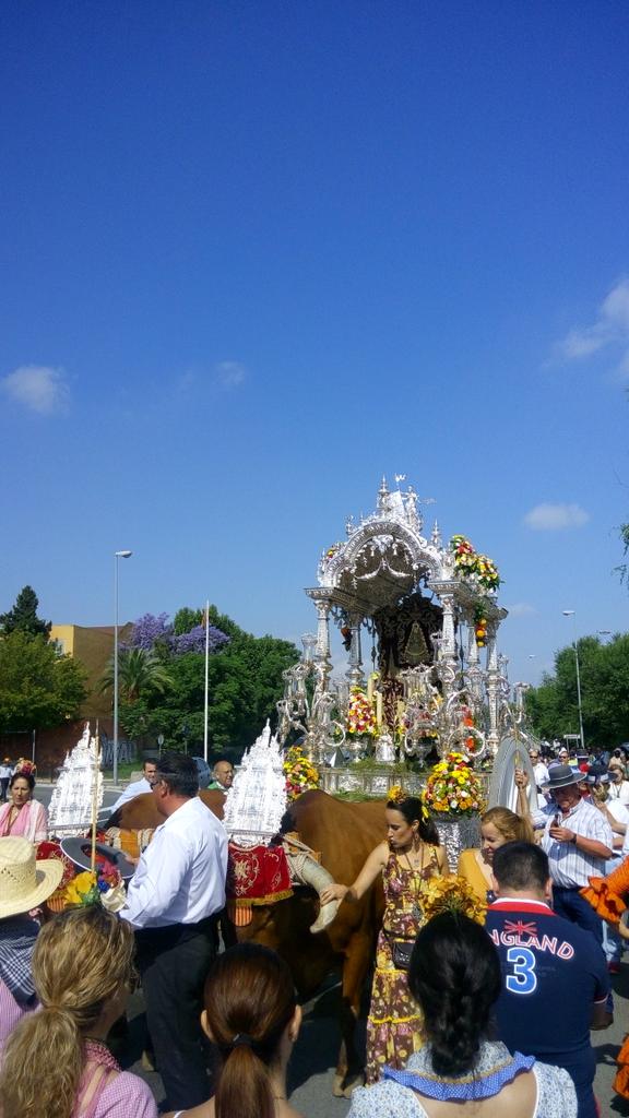 Salida Sevilla Sur 2015 -4