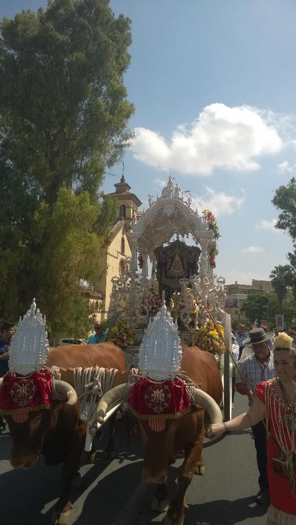 Salida Sevilla Sur 2015 -5