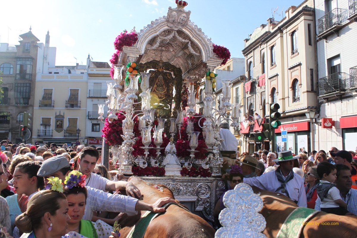 Salida triana 2015-IMG_2837