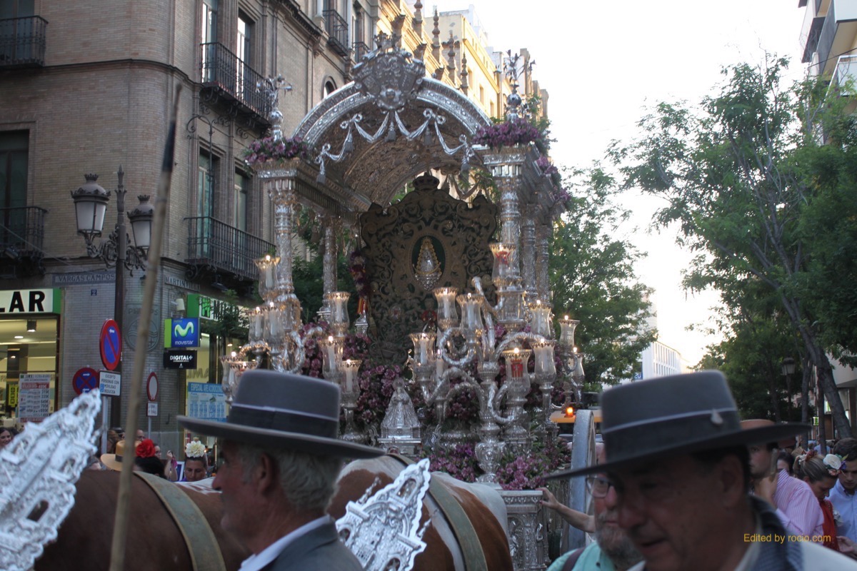 Sevllla Salvador rocio entrada 2015-3015