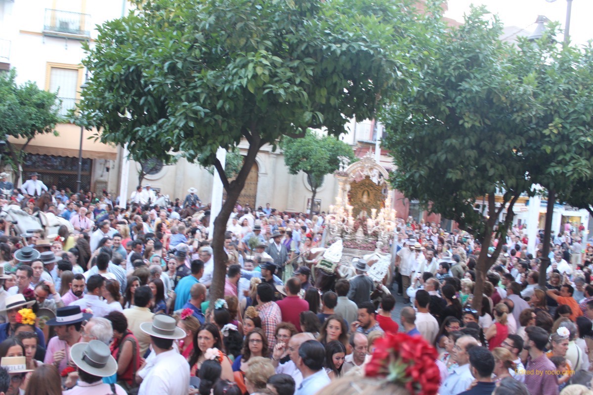 Sevllla Salvador rocio entrada 2015-3031