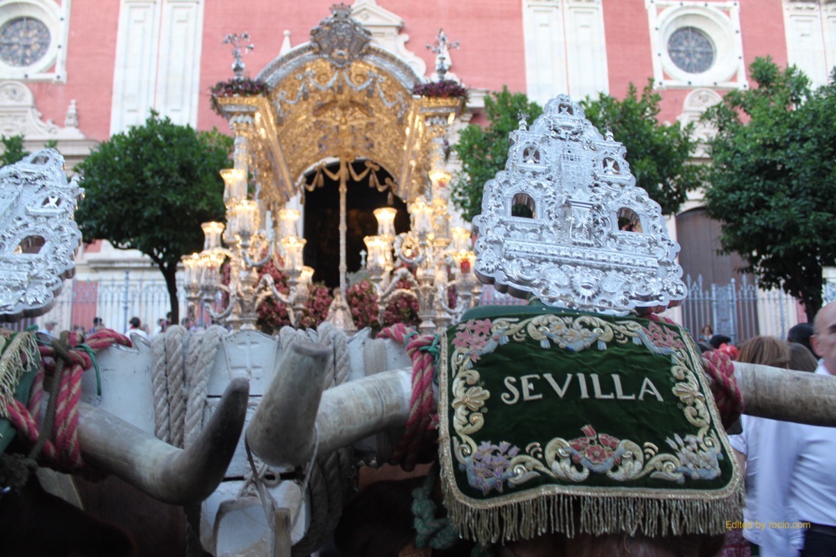 Sevllla Salvador rocio entrada 2015-3066