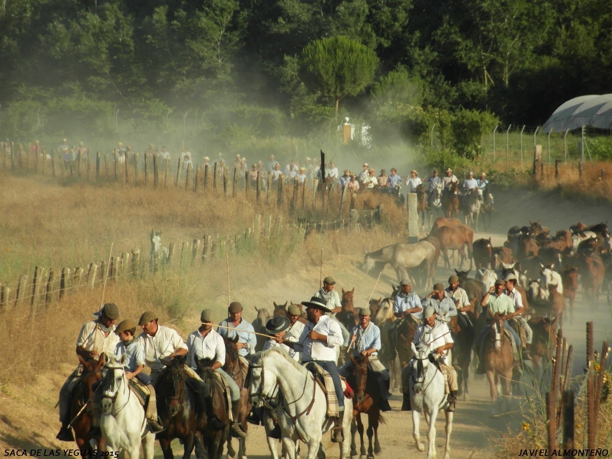 Javier coronel Saca Yeguas 2015-SAM_6820