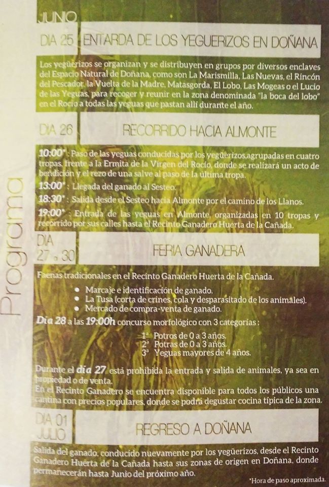 saca yeguas 2015-programa-3