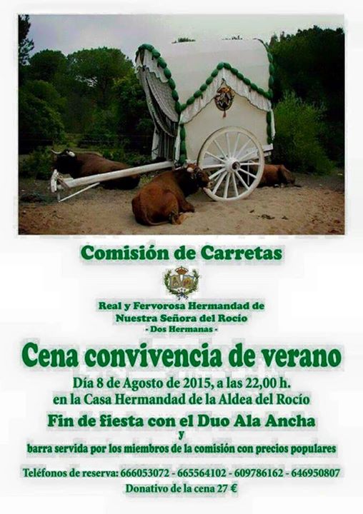 Dos Hermanas convivencia verano 2015