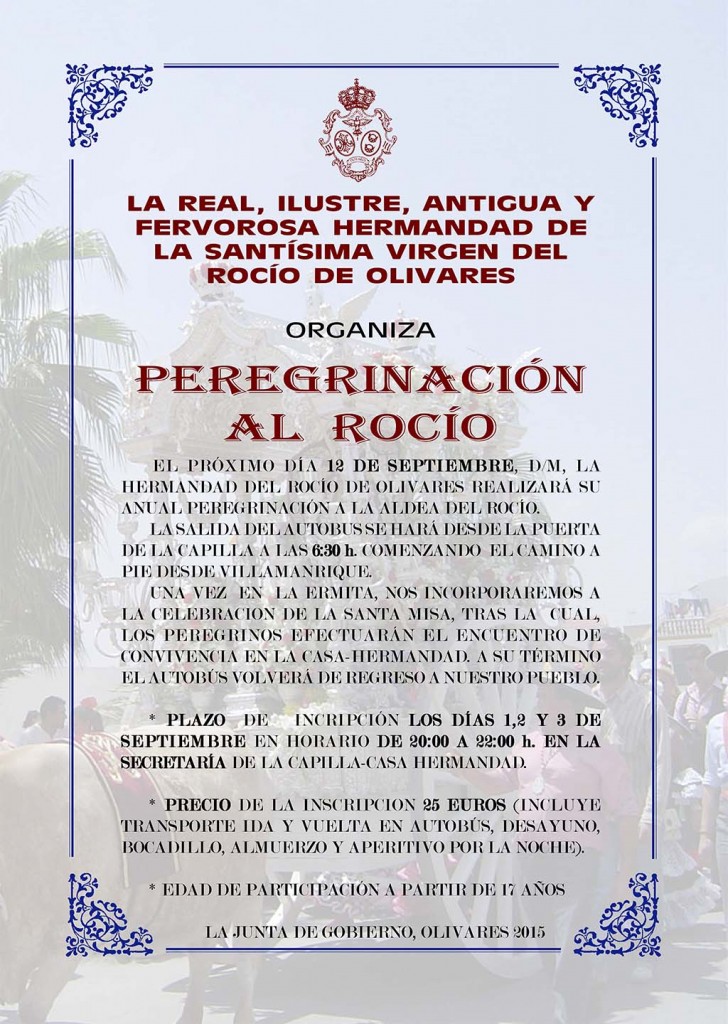 Peregrinacion-Adultos-2015-olivares