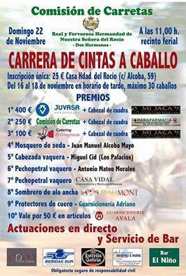 Dos hermanas cintas carrera 2015