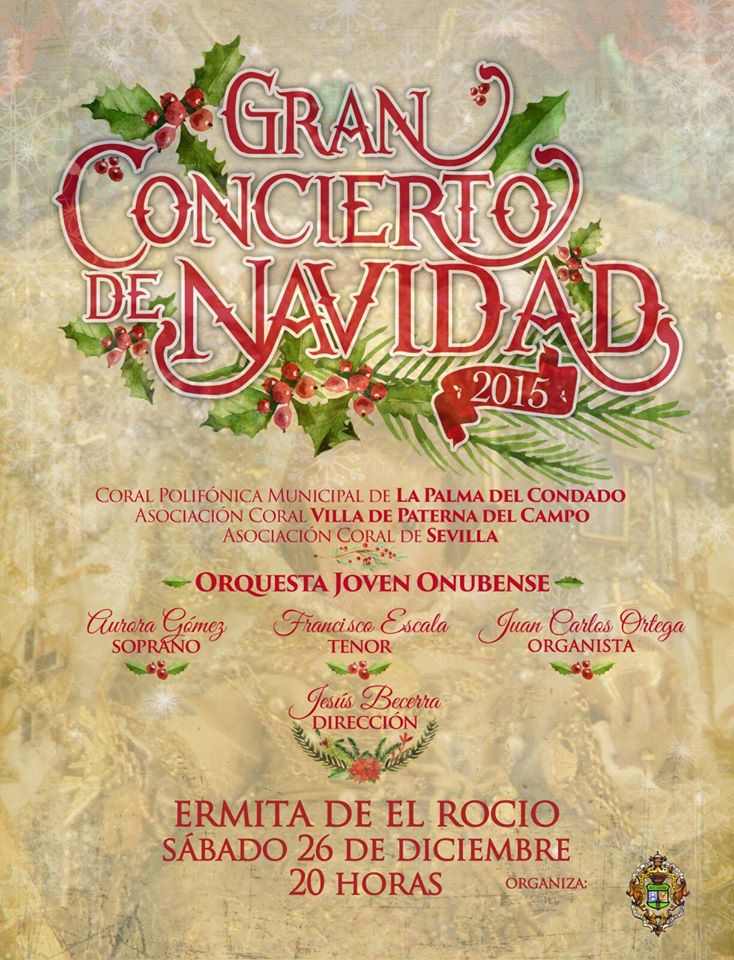 Matriz Navidad 2015 concierto