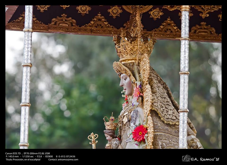 Antonio Ramos -Procesión Rocío 2012-16
